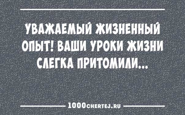 Подборка превосходных анекдотов в карточках