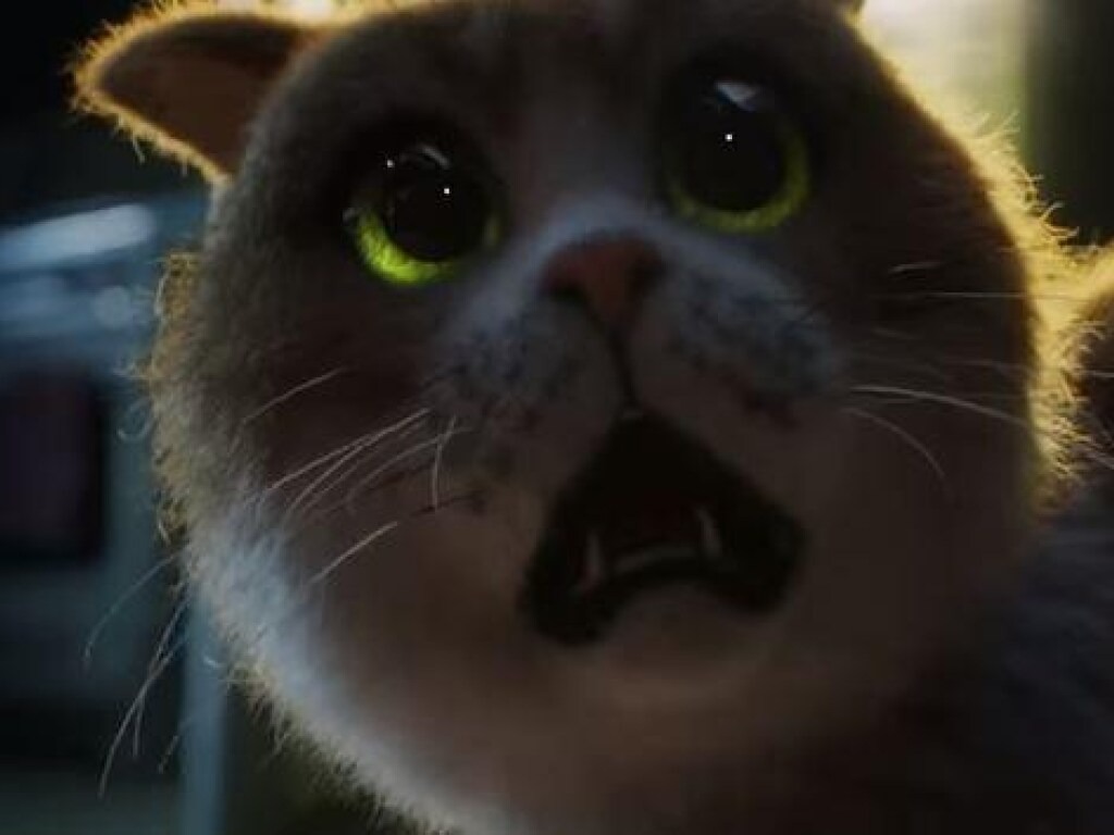 В Сети показали первый фильм ужасов для котов. ВИДЕО