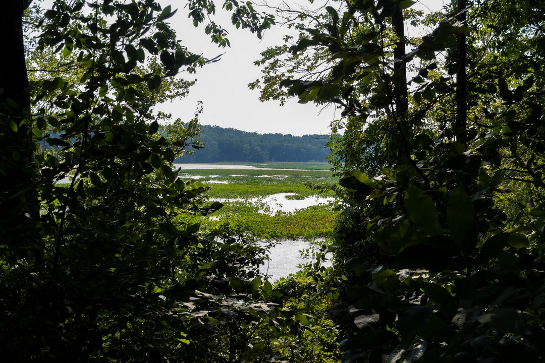 Красота природы на фотографиях