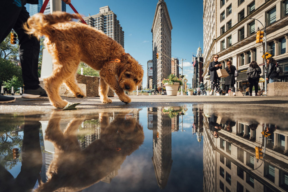 Фотоконкурс Siena International Photo Awards 2020