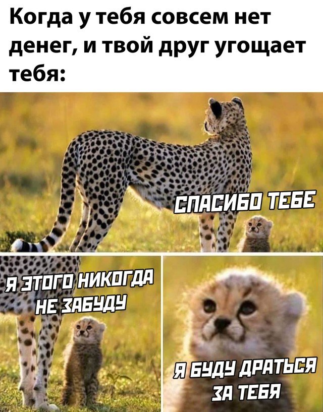 Улыбайтесь, господа, улыбайтесь! 