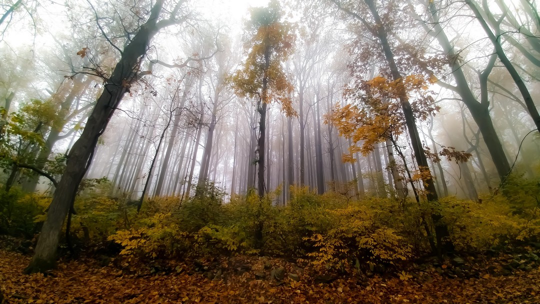 Красота природы на фотографиях