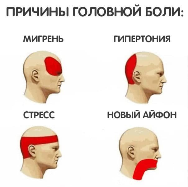 Лучшие шутки и мемы из Сети