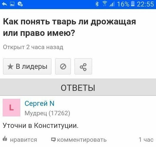 Забавные ответы на злободневные вопросы пользователей сети. ФОТО