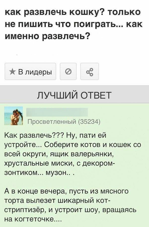 Забавные ответы на злободневные вопросы пользователей сети. ФОТО