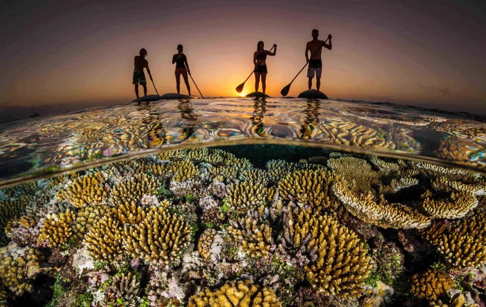 Фотографии победителей конкурса Ocean Photography Awards 2020