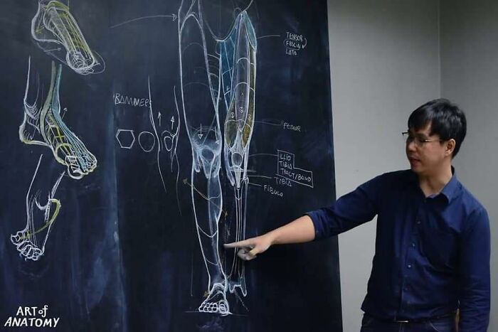 Учитель анатомии прославился благодаря рисункам на доске - фото с его уроков выглядят как снимки из музея человеческого тела. ФОТО