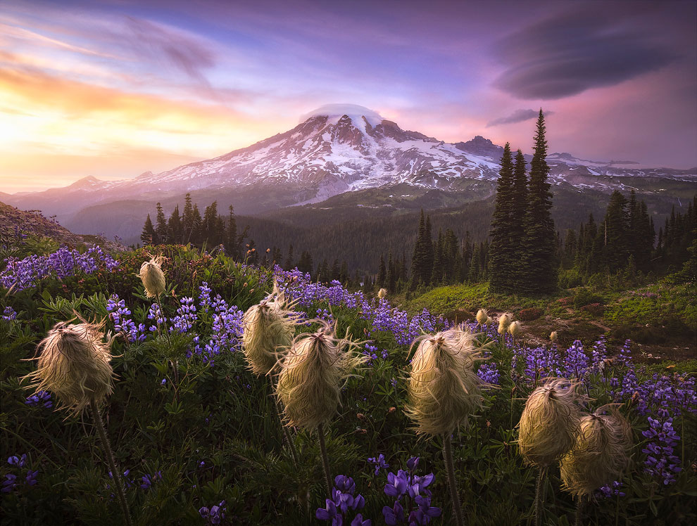 Лучшие пейзажные снимки конкурса International Landscape Photographer 2020 года