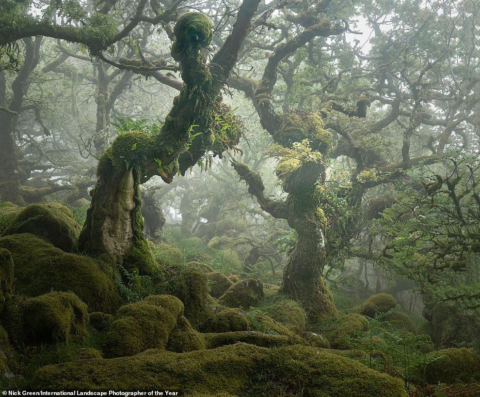 Лучшие пейзажные снимки конкурса International Landscape Photographer 2020 года