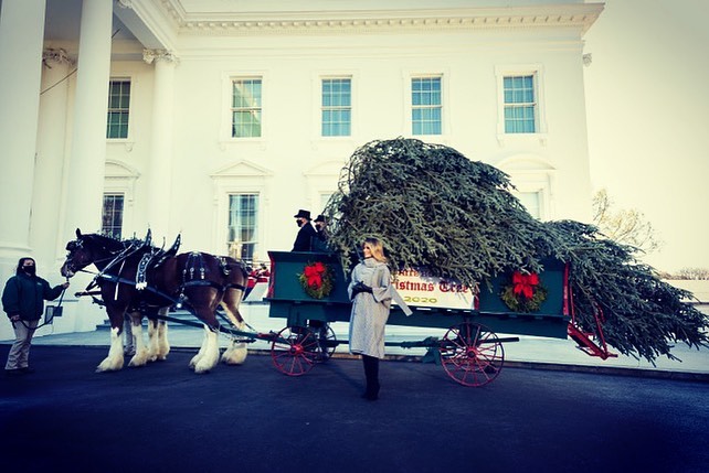 Мелания Трамп в стильном пальто занялась подготовкой Белого дома к Рождеству. Фото