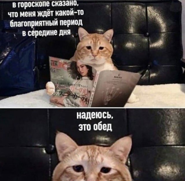 Мемы и шутки из Сети. ФОТО