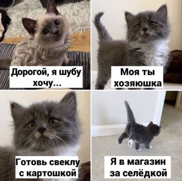 Мемы и шутки из Сети. ФОТО