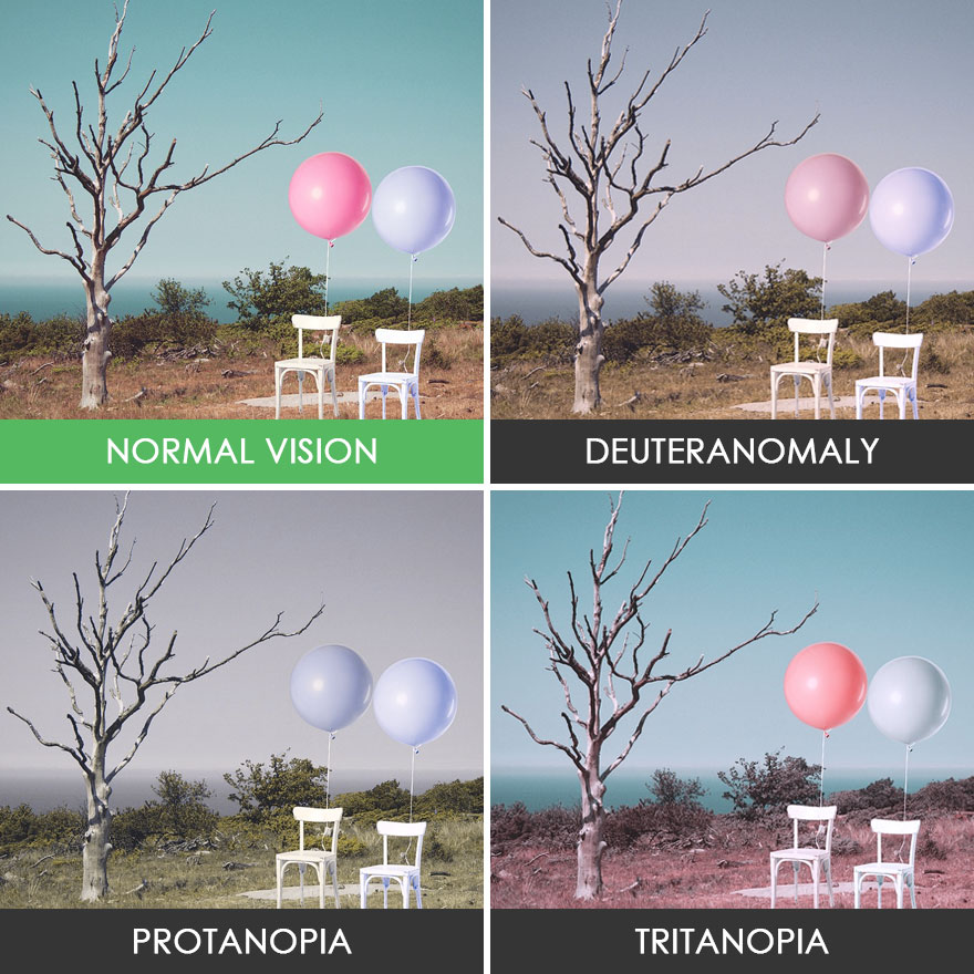 Как выглядит мир глазами дальтоника