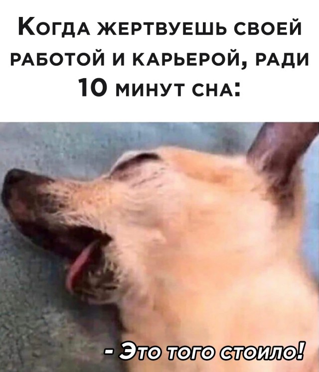 Улыбайтесь, господа, улыбайтесь! 