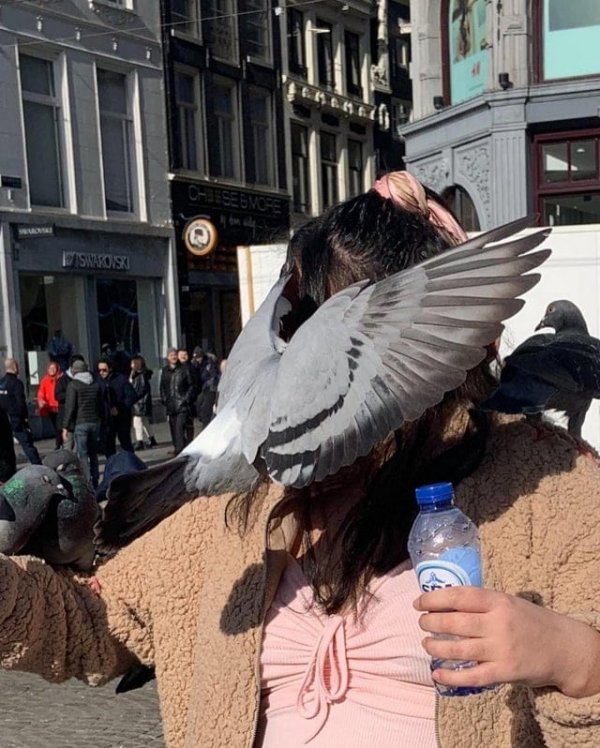 Фотографии за секунду до трагедии