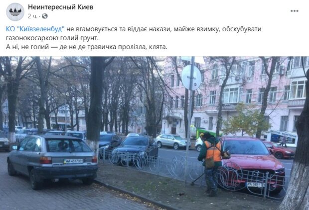 В Киеве заметили коммунальщика, который косил несуществующую траву. ФОТО