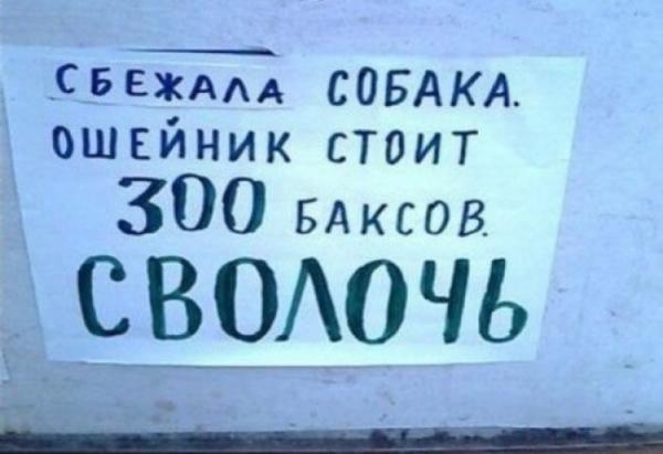 Забавные объявления, мимо которых невозможно пройти (ФОТО)