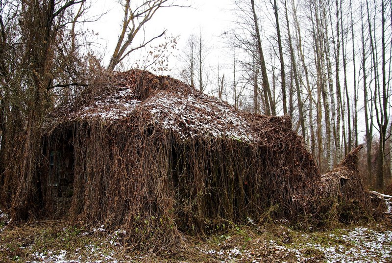 В Чернобыле отыскали домик, который нетронут уже 34 года. Фото