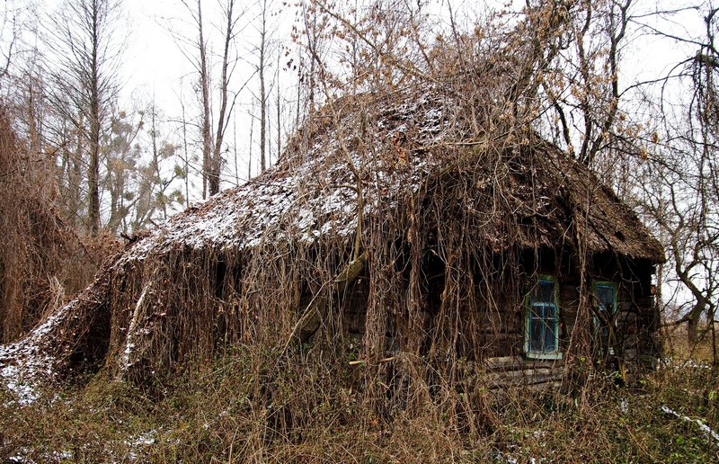 В Чернобыле отыскали домик, который нетронут уже 34 года. Фото