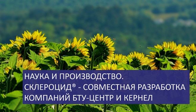 Эффективность действия препарата Склероцид для защиты сельхоз растений