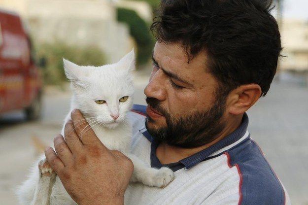 Сириец ежедневно возвращается в горячую точку, чтобы покормить бездомных котов. ФОТО