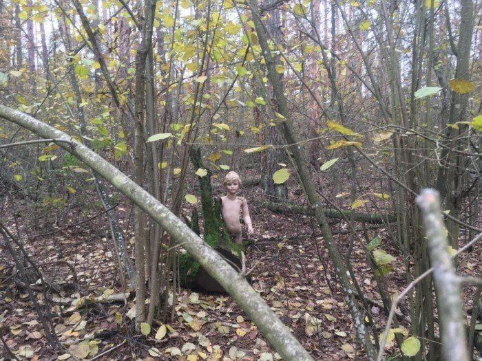 Пугающие и любопытные находки, сделанные в лесу
