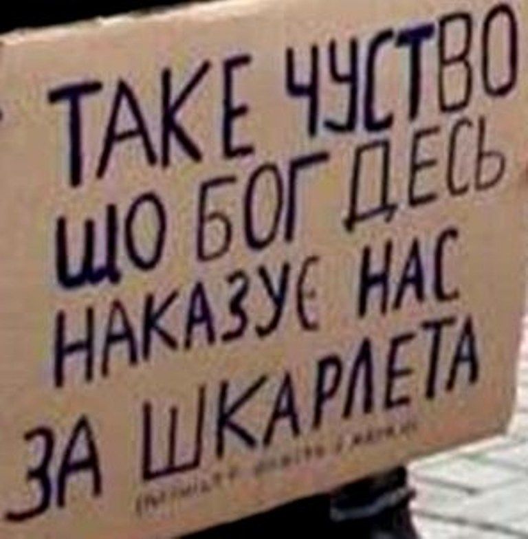 Протестующие против министра образования студенты написали плакаты с ошибками, пародируя известный мем. ВИДЕО