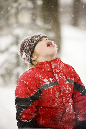 Сеть насмешили фотографии детей, которые едят снег. ФОТО