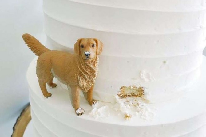 Этот свадебный торт рассмешил сеть (ФОТО)