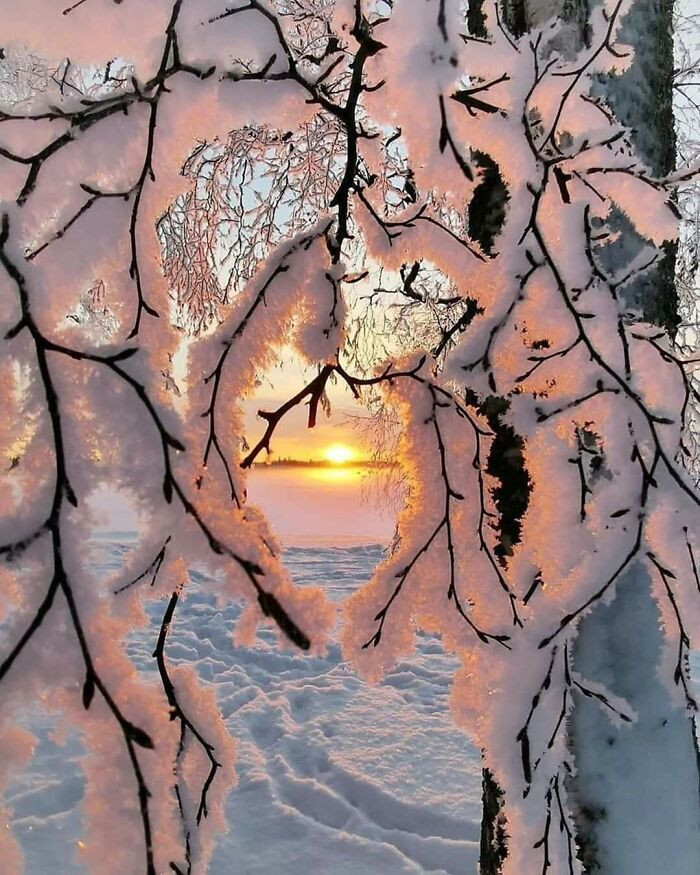 Зимние художества, созданные самой природой