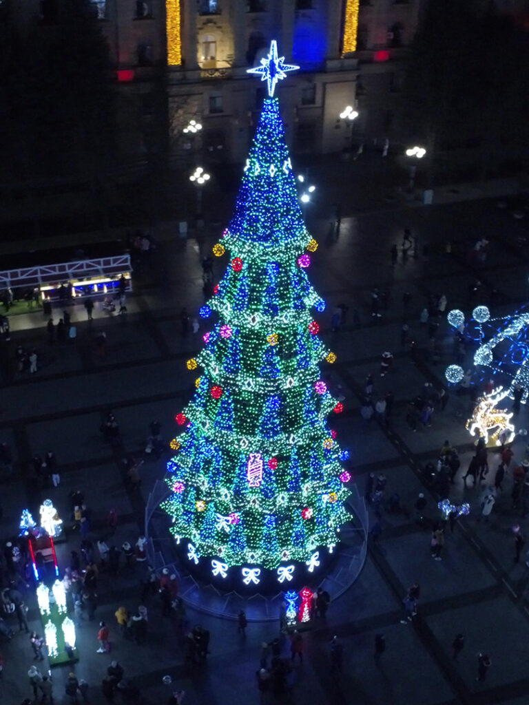 Украинцы выбрали самые красивые новогодние елки страны. Фото