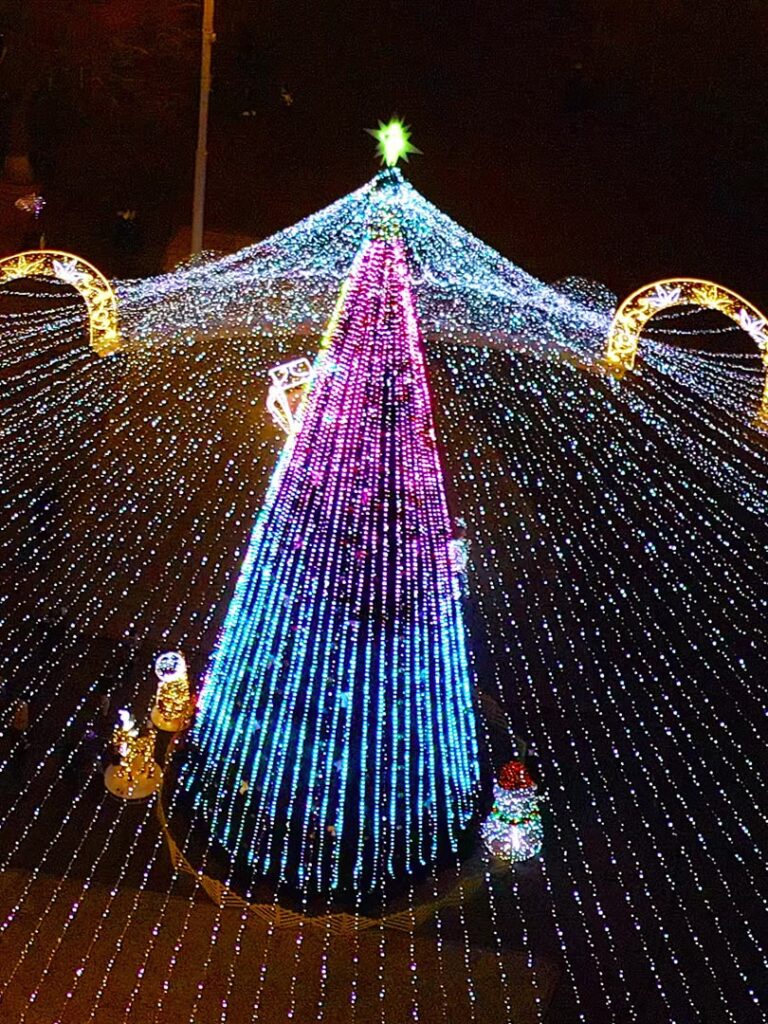 Украинцы выбрали самые красивые новогодние елки страны. Фото