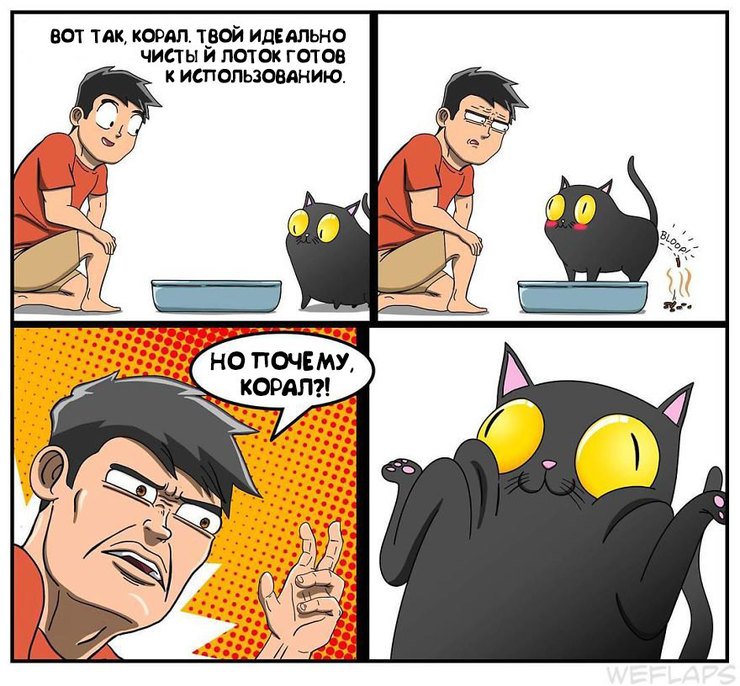 Смешные и классные комиксы про очаровательную кошку Корал
