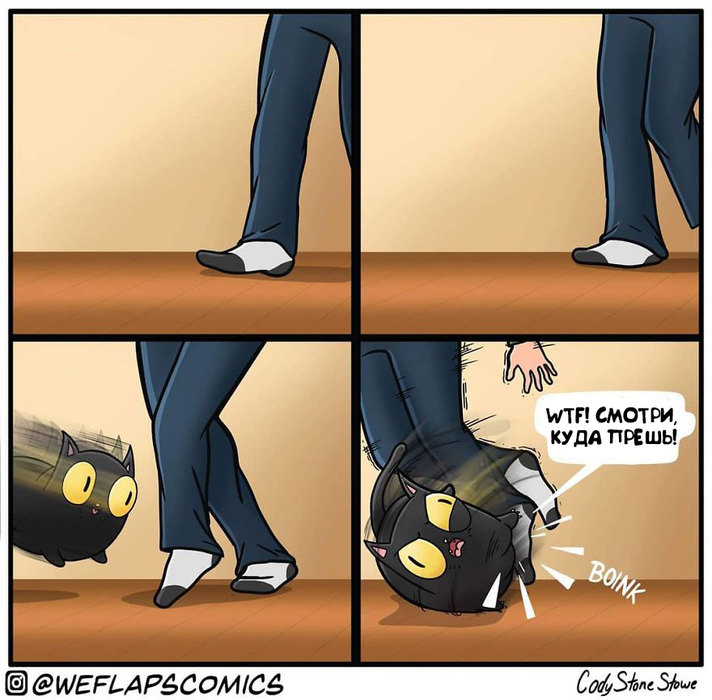 Смешные и классные комиксы про очаровательную кошку Корал