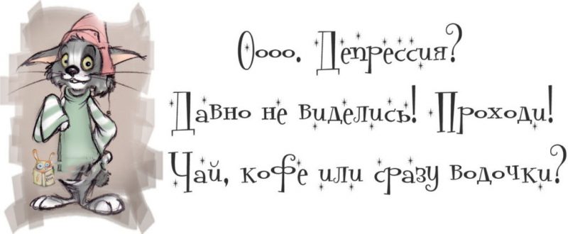 Веселые цитаты о жизни женщины. ФОТО