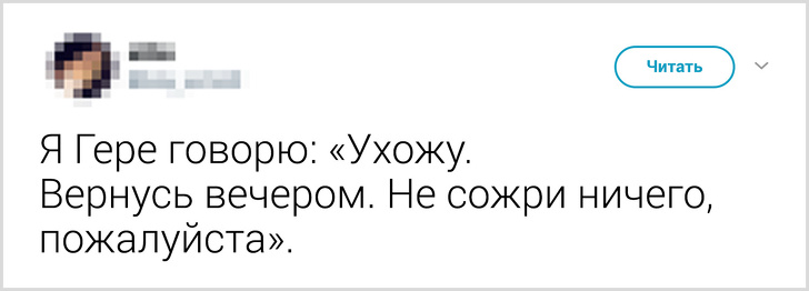 Твиты о том, что говорят люди своему коту перед уходом из дома. ФОТО