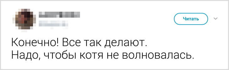 Твиты о том, что говорят люди своему коту перед уходом из дома. ФОТО