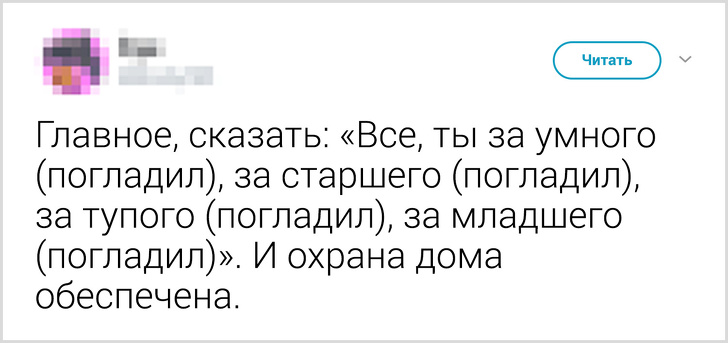 Твиты о том, что говорят люди своему коту перед уходом из дома. ФОТО