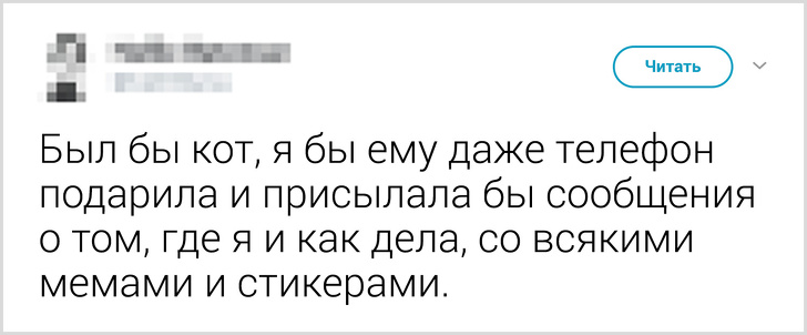 Твиты о том, что говорят люди своему коту перед уходом из дома. ФОТО