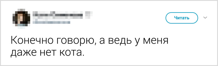 Твиты о том, что говорят люди своему коту перед уходом из дома. ФОТО