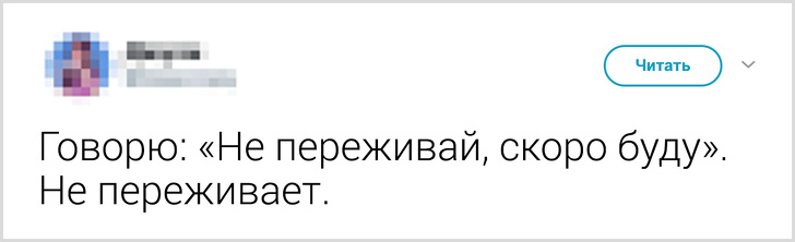 Твиты о том, что говорят люди своему коту перед уходом из дома. ФОТО