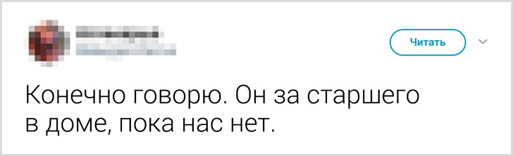 Твиты о том, что говорят люди своему коту перед уходом из дома. ФОТО