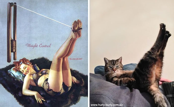 Пин-ап-девушки VS кошек — борьба за вашу любовь. ФОТО