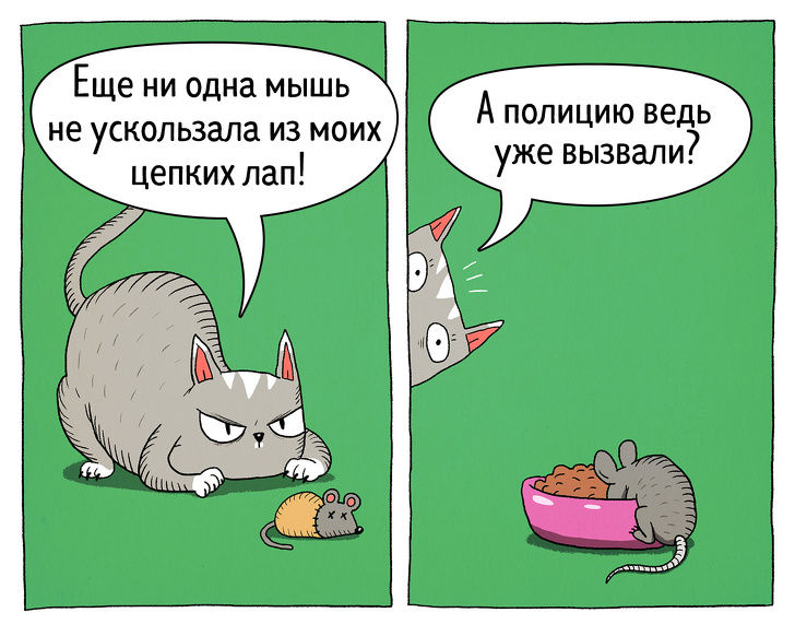 Забавные комиксы о противоречивости котов