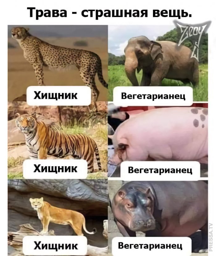 Улыбайтесь, господа, улыбайтесь! 