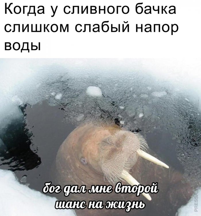 Улыбайтесь, господа, улыбайтесь! 