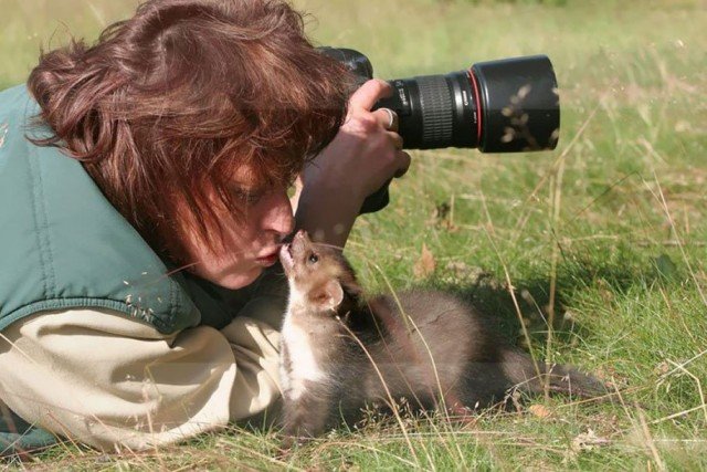 Любопытные животные, которые мешают фотографам