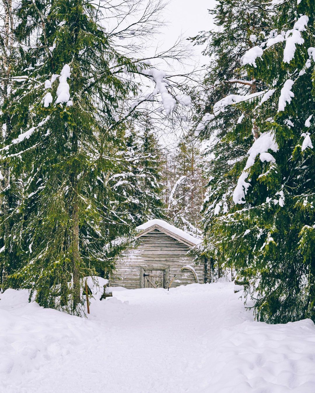 Пейзажные и уличные снимки из путешествий Мэри Куинси