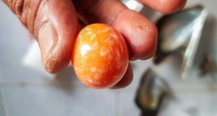Бедны рыбак нашел уникальную жемчужину, оцененную в 300 тысяч долларов, в Таиланде. ФОТО