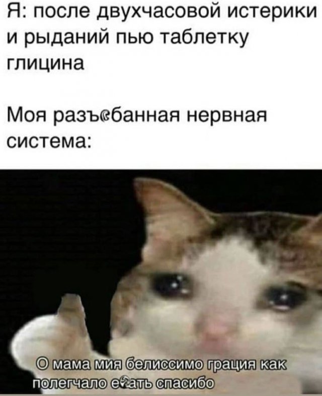 Шутки и мемы из Сети